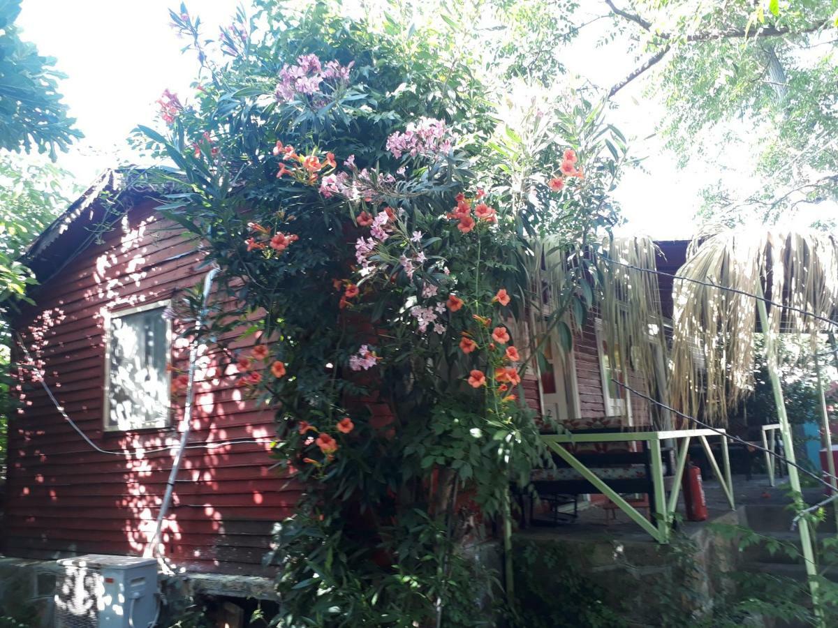 Side Tuana Garden Home Екстер'єр фото